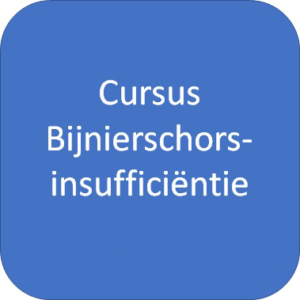 Cursus Bijnierschorsinsufficiëntie | 27 oktober 2025